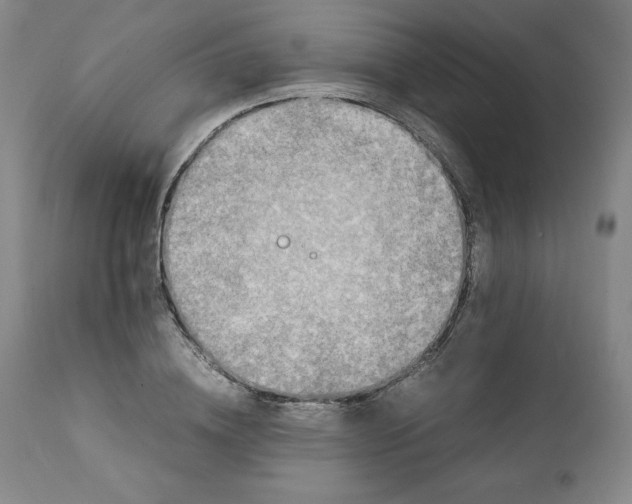 X0000111250836200907161404