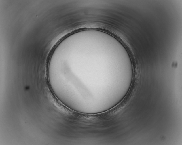 X0000111250837200907161404