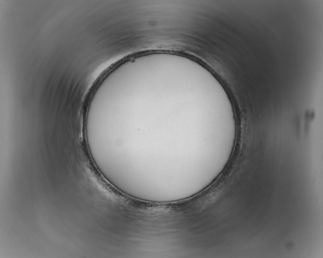 X0000111250838200907161404