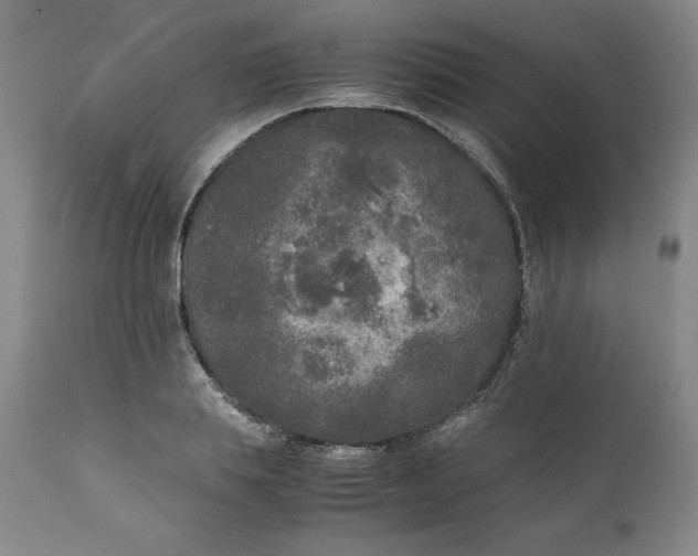 X0000111250839200907161404