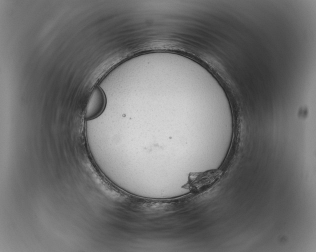 X0000111250841200907161404