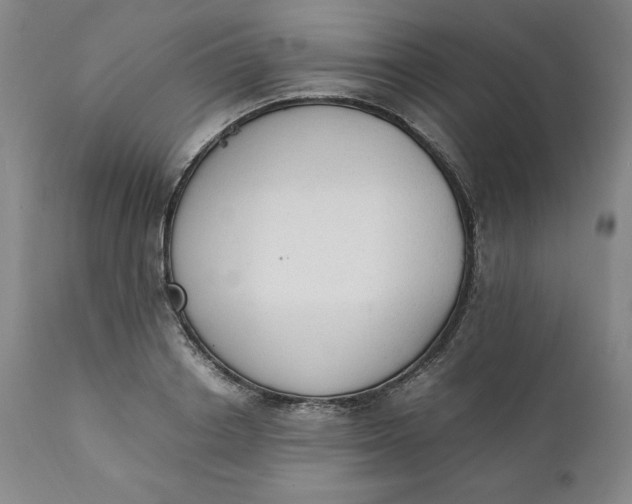 X0000111250842200907161404