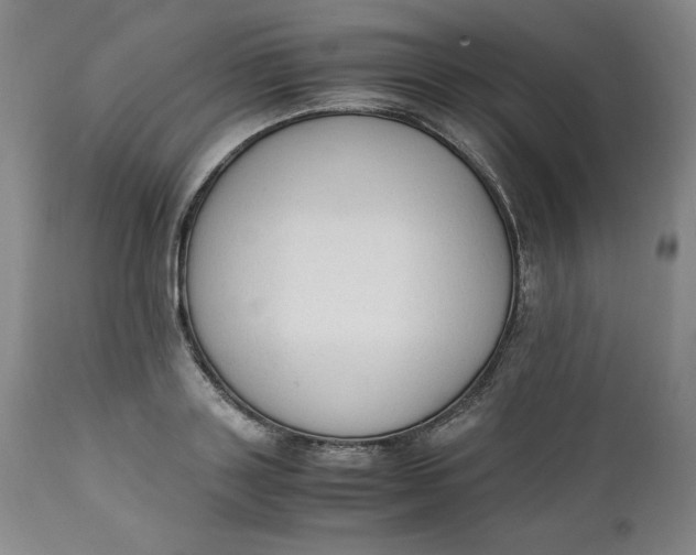 X0000111250843200907161404