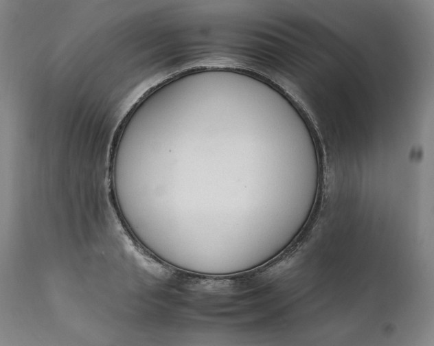 X0000111250845200907161404