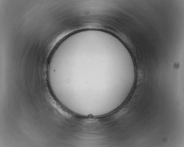 X0000111250846200907161404