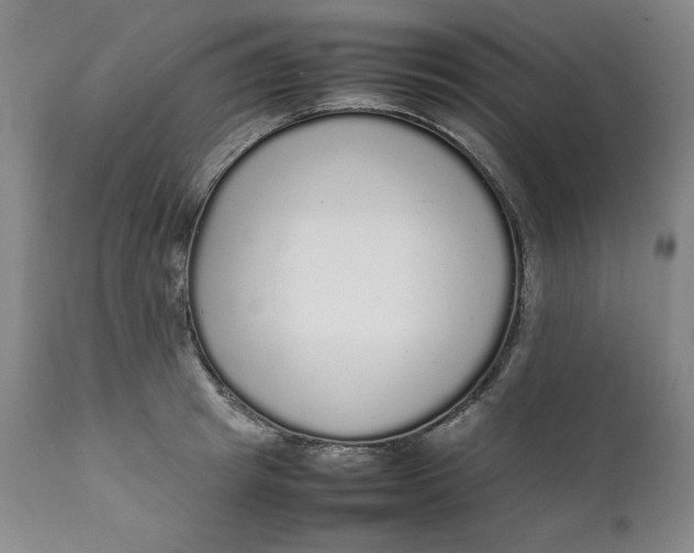 X0000111250849200907161404