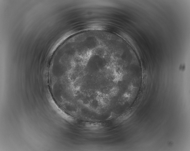 X0000111250851200907161404