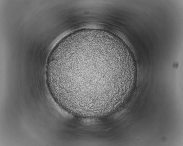 X0000111250853200907161404