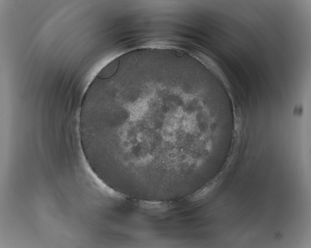 X0000111250855200907161404