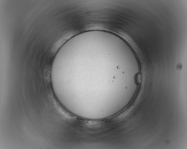 X0000111250857200907161404