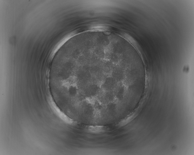 X0000111250859200907161404