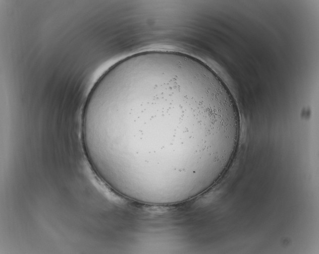 X0000111250862200907161404