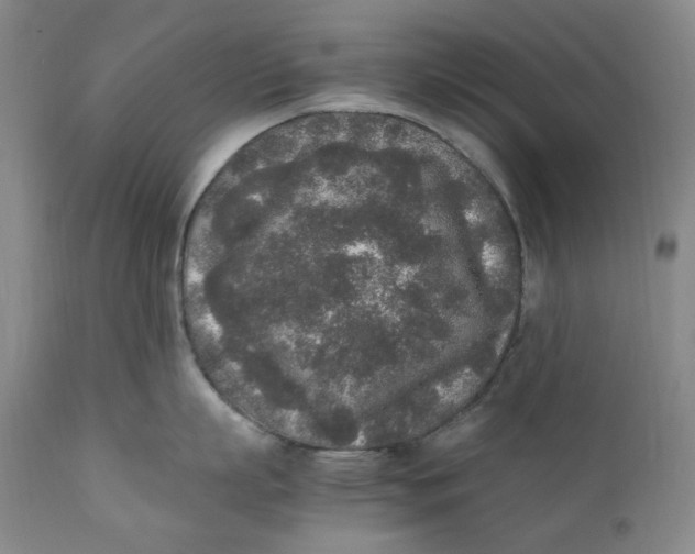 X0000111250863200907161404