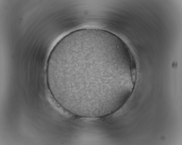 X0000111250864200907161404