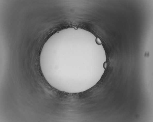 X0000111250865200907161404