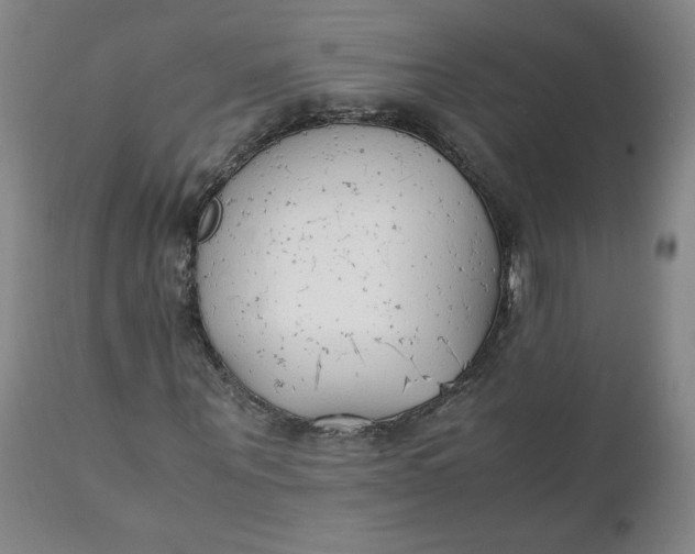 X0000111250867200907161404