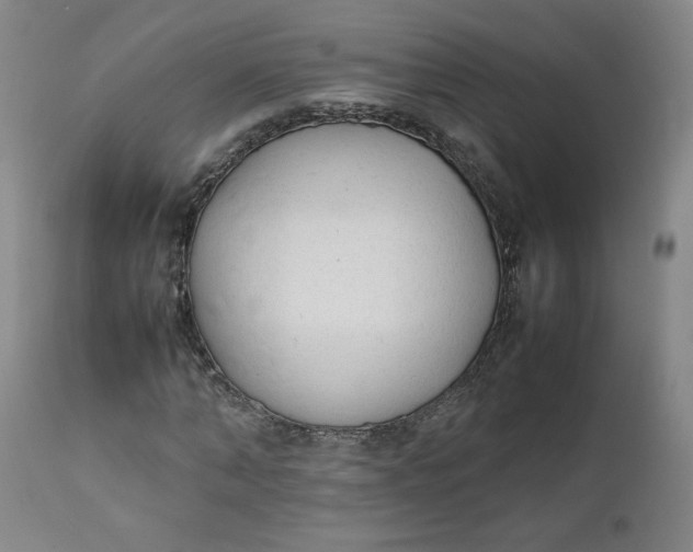 X0000111250870200907161404