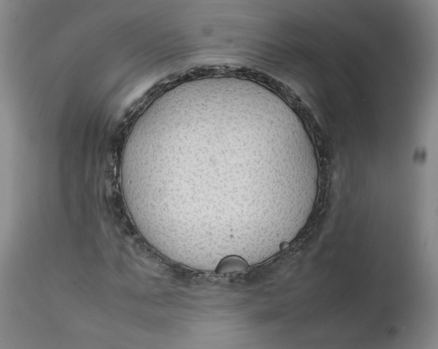 X0000111250871200907161404