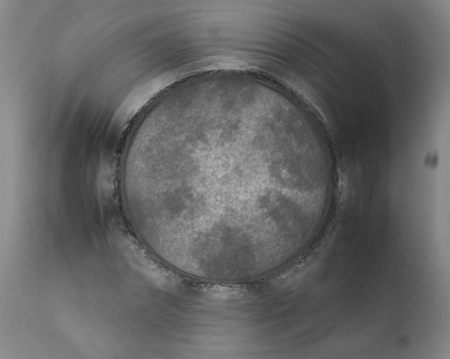 X0000111250874200907161404