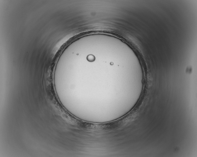 X0000111250875200907161404