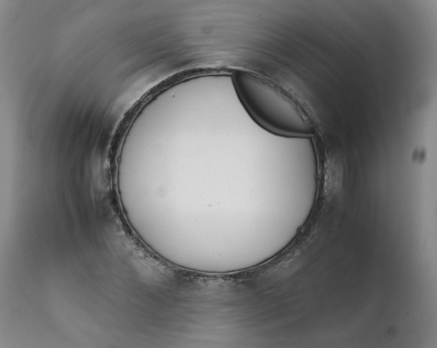 X0000111250876200907161404