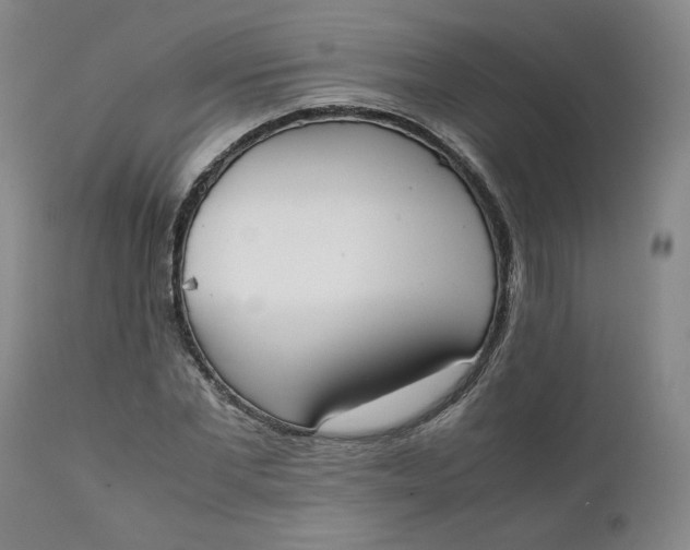 X0000111250877200907161404