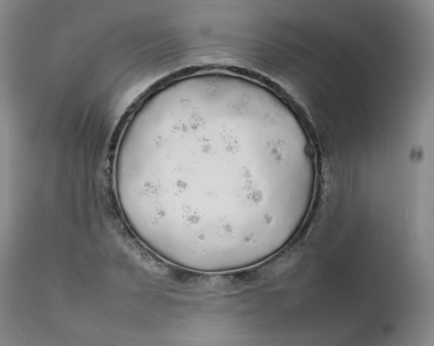 X0000111250879200907161403