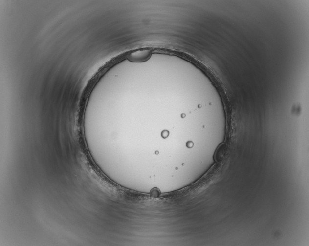 X0000111250880200907161403