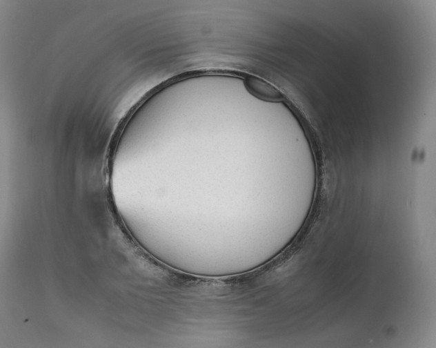 X0000111250885200907161403