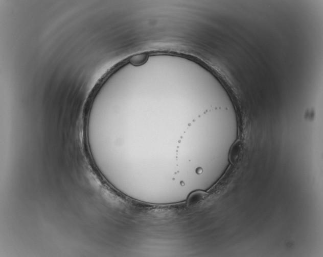 X0000111250888200907161403