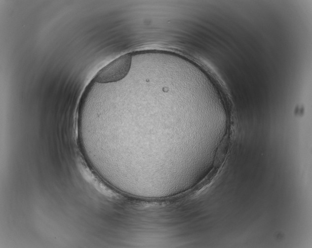 X0000111250892200907161403