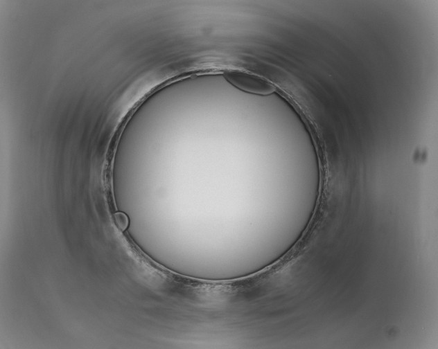 X0000111250893200907161403