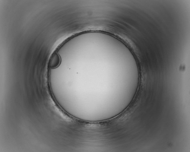 X0000111250894200907161403