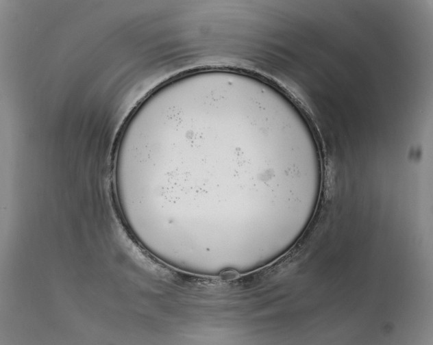 X0000111250895200907161403