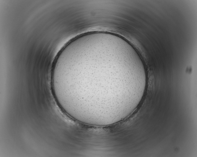 X0000111250896200907161403