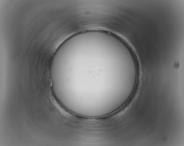 X0000111250897200907161403