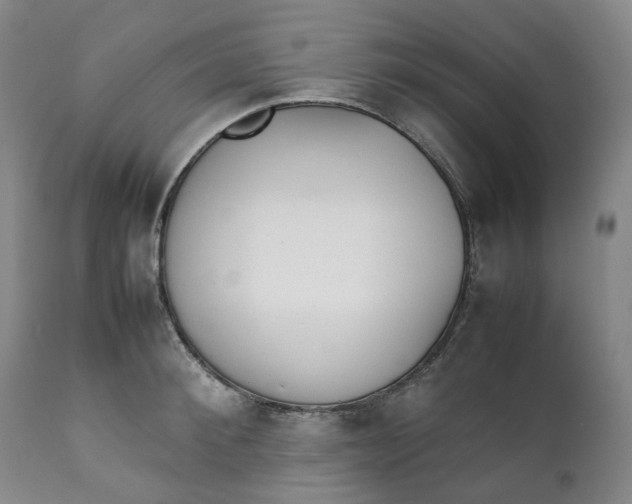 X0000111250900200907161403