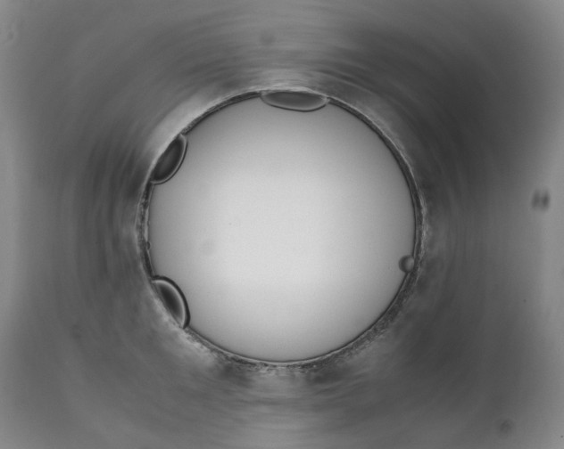 X0000111250901200907161403