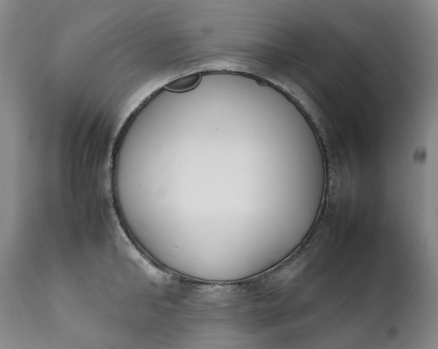 X0000111250902200907161403