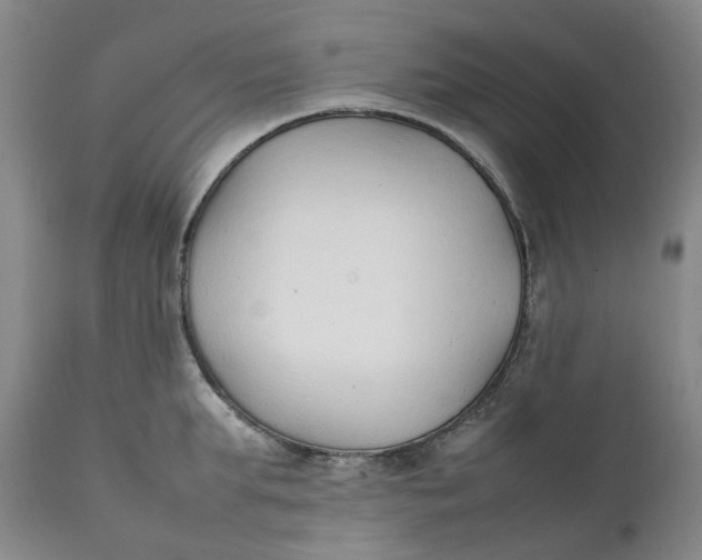 X0000111250903200907161403