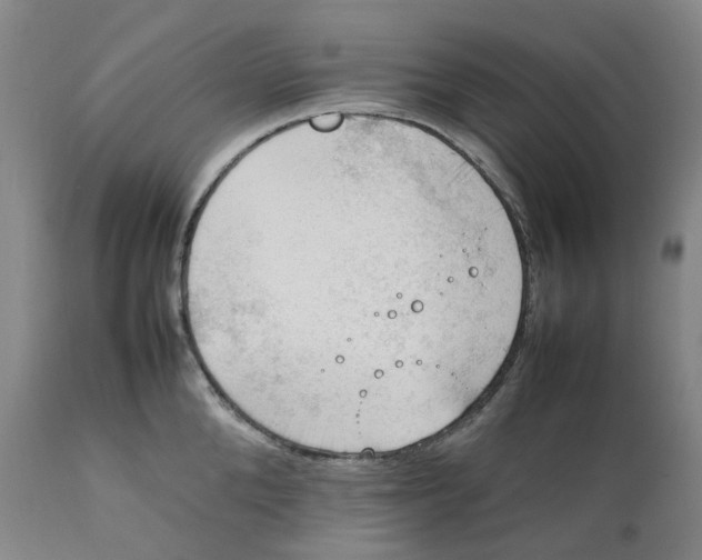 X0000111250904200907161403