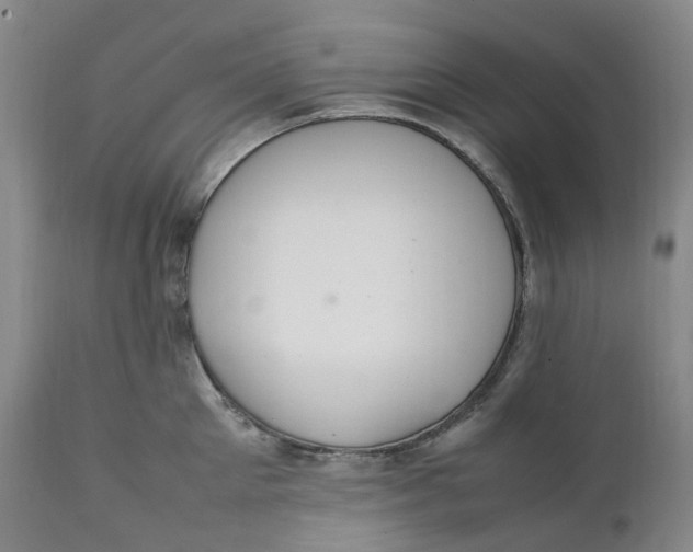 X0000111250905200907161403