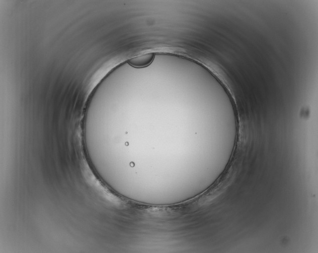 X0000111250906200907161403