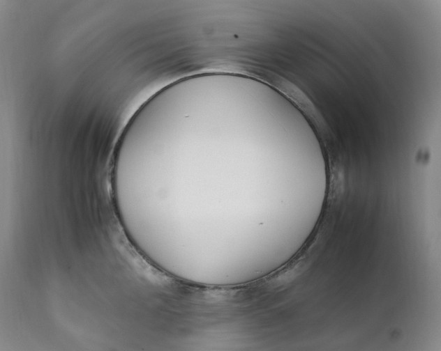 X0000111250908200907161403