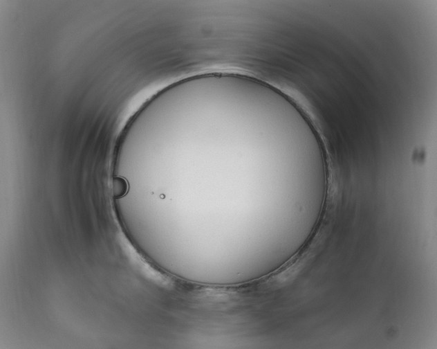 X0000111250910200907161403