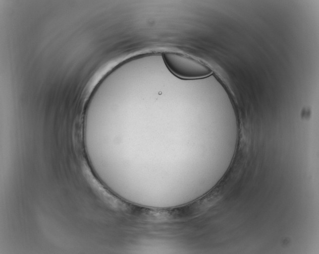 X0000111250911200907161403