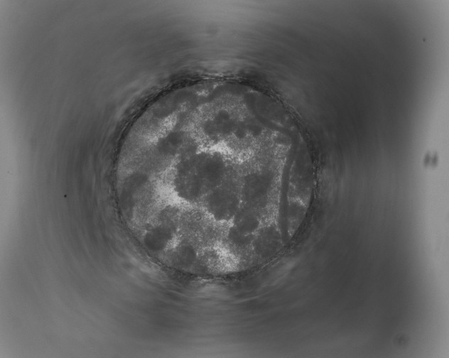 X0000111250913200907161402