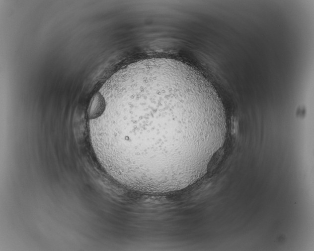 X0000111250915200907161402