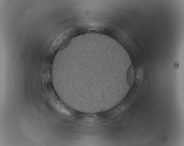 X0000111250916200907161402