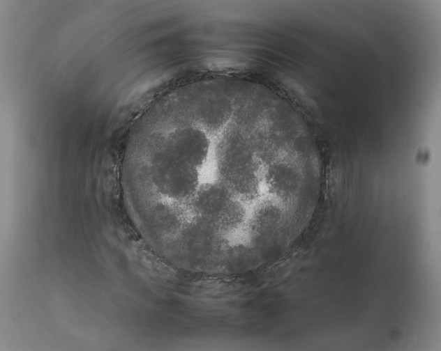 X0000111250917200907161402